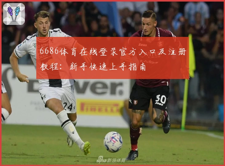 6686体育在线登录官方入口及注册教程：新手快速上手指南