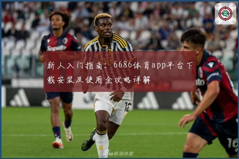 新人入门指南：6686体育app平台下载安装及使用全攻略详解