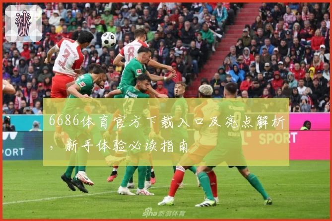 6686体育官方下载入口及亮点解析,新手体验必读指南